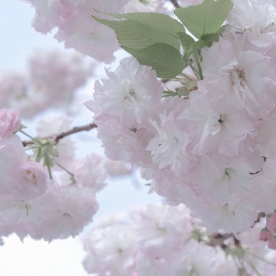 Furry兽设设计干货兽圈社群